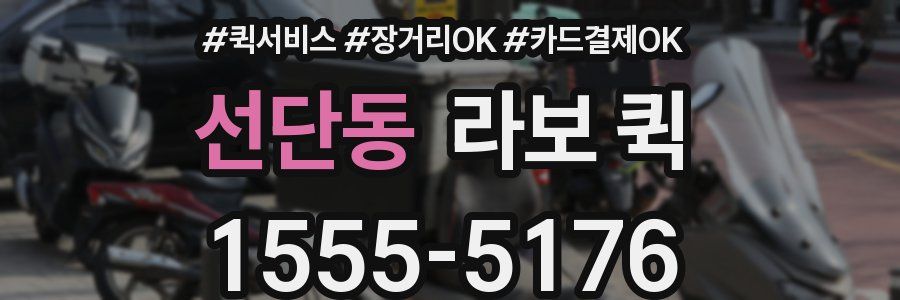 선단동 라보 퀵