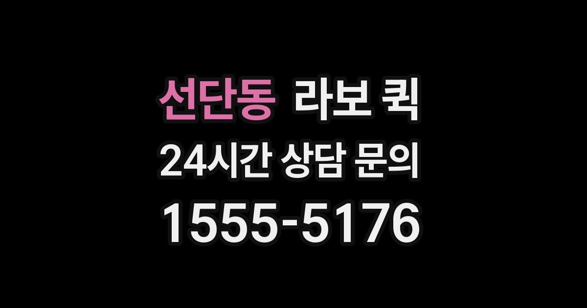 선단동 라보 퀵