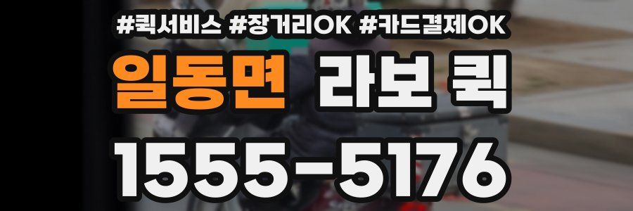 일동면 라보 퀵