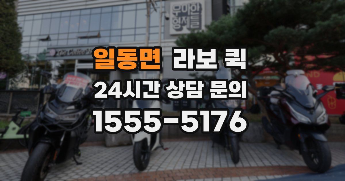 일동면 라보 퀵