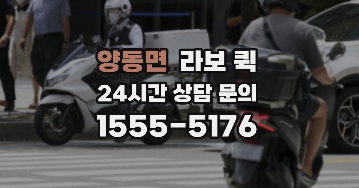 양동면 라보 퀵