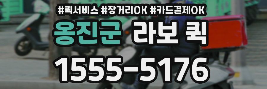 옹진군 라보 퀵