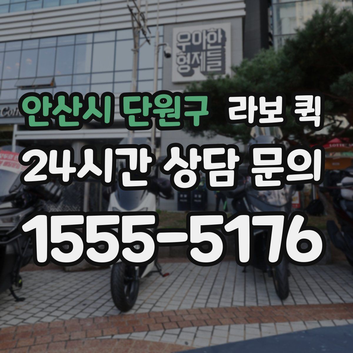 안산시 단원구 라보 퀵 기능을 고를 때 고려할 점