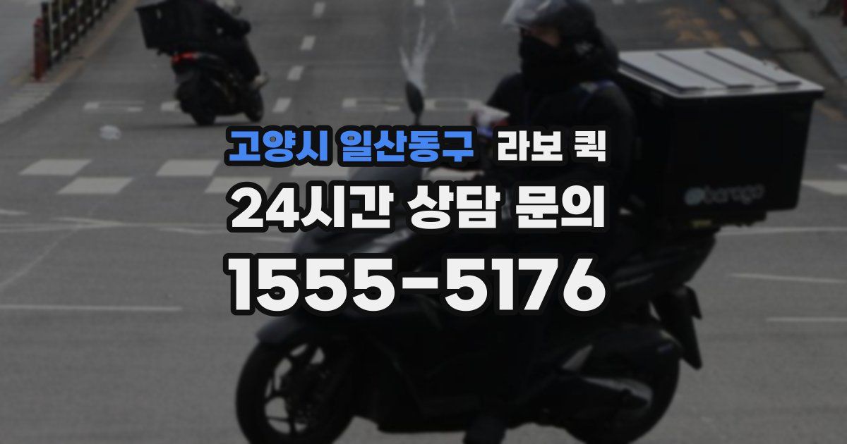 고양시 일산동구 라보 퀵
