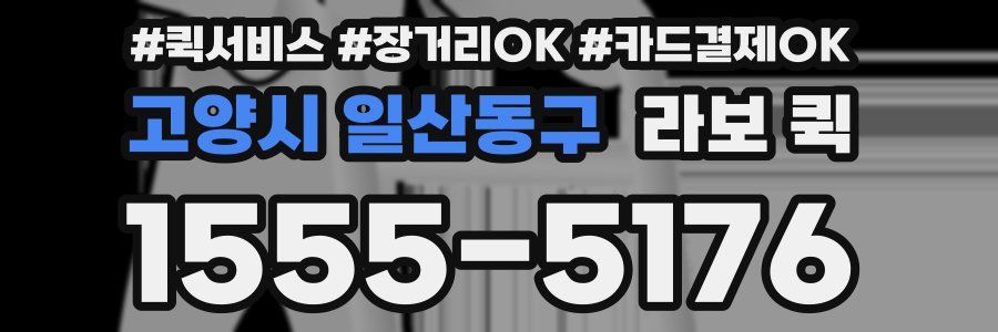 고양시 일산동구 라보 퀵