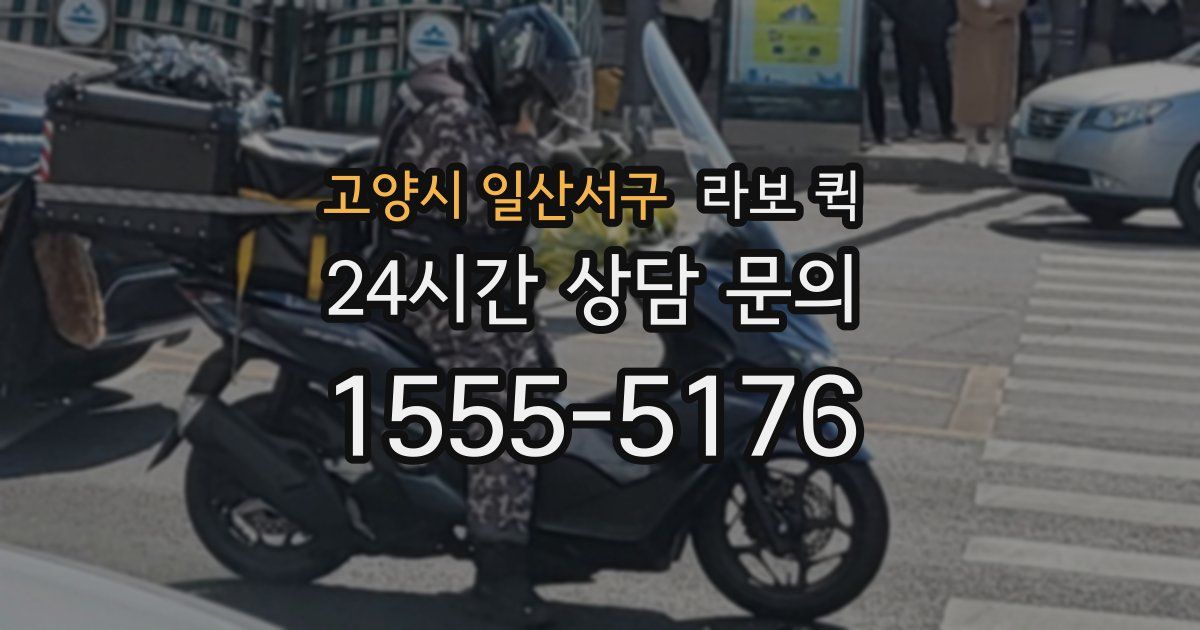 고양시 일산서구 라보 퀵