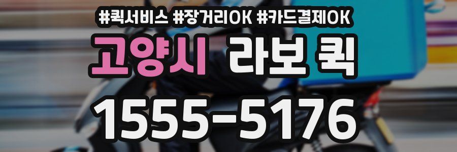 고양시 라보 퀵