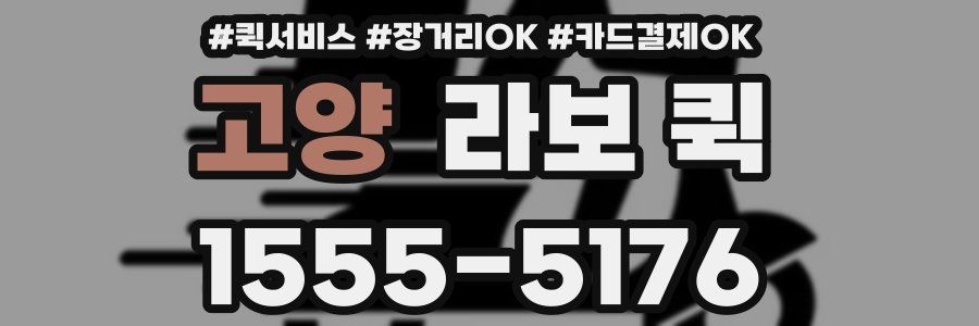 고양 라보 퀵