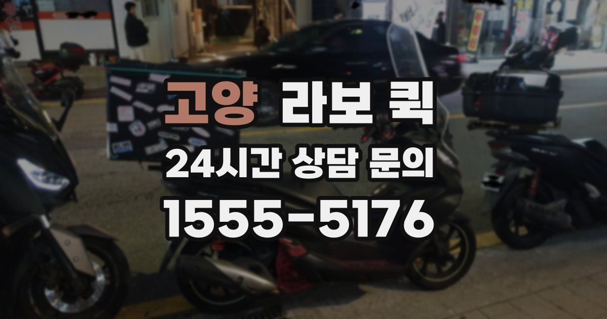 고양 라보 퀵
