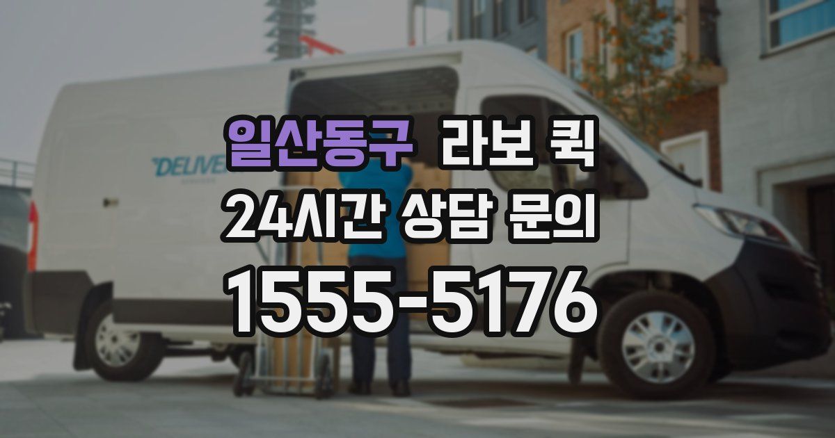일산동구 라보 퀵