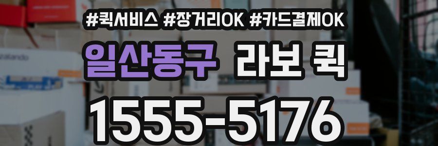 일산동구 라보 퀵