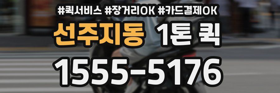 선주지동 1톤 퀵