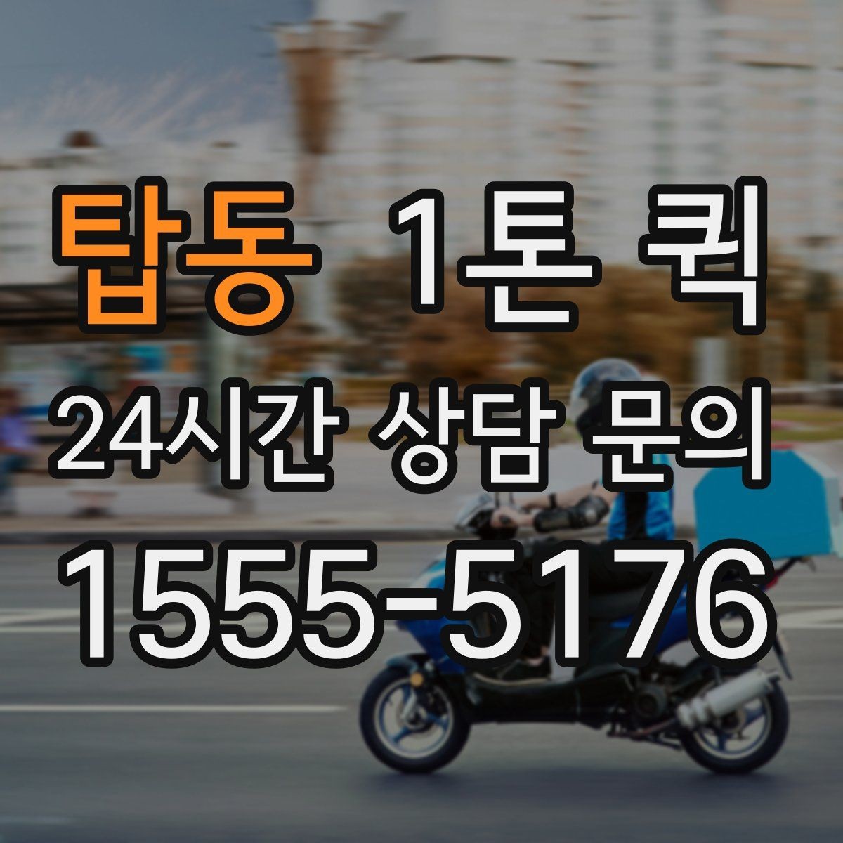 탑동 1톤 퀵 선택 시 확인할 포인트
