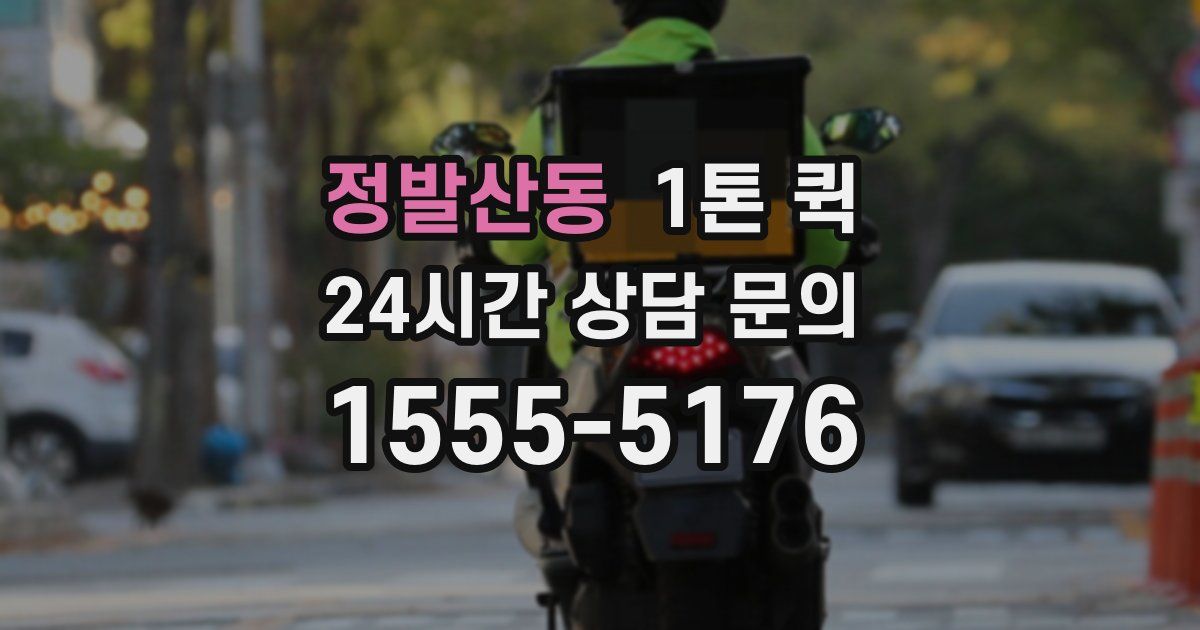 정발산동 1톤 퀵