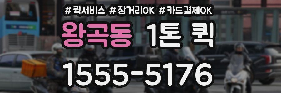 왕곡동 1톤 퀵