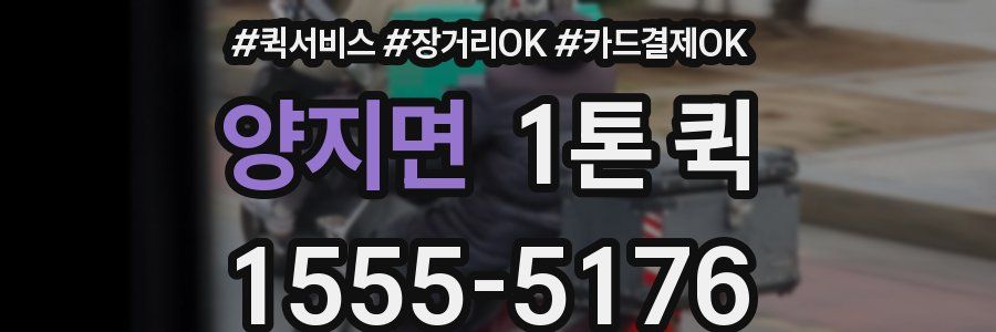 양지면 1톤 퀵