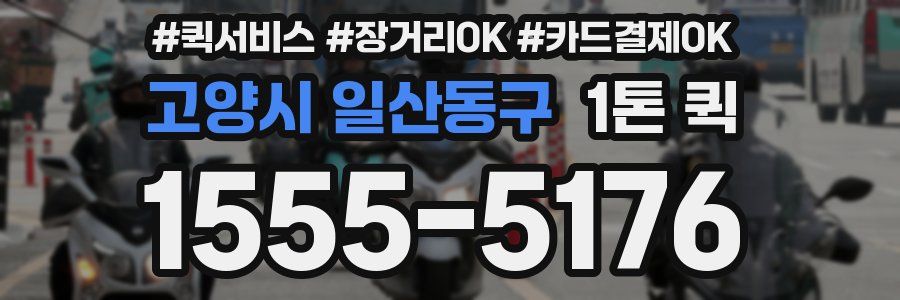 고양시 일산동구 1톤 퀵