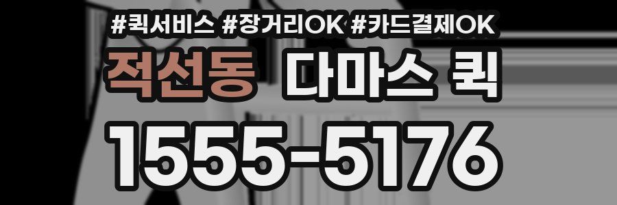적선동 다마스 퀵