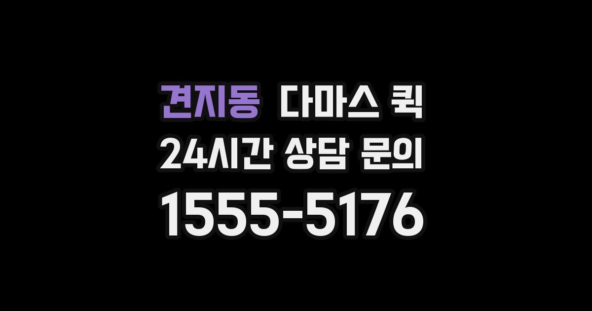 견지동 다마스 퀵