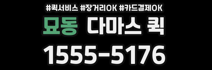묘동 다마스 퀵