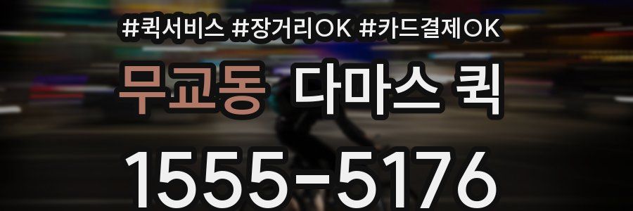 무교동 다마스 퀵