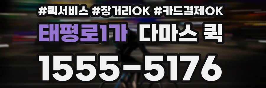 태평로1가 다마스 퀵