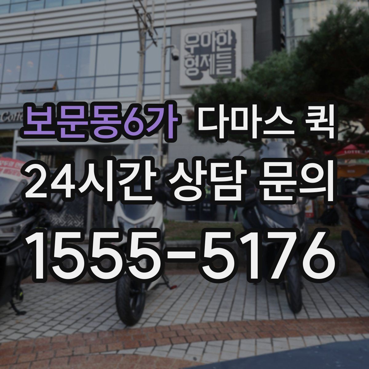 보문동6가 다마스 퀵 화물 크기별 차량 배정 기준