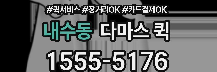 내수동 다마스 퀵