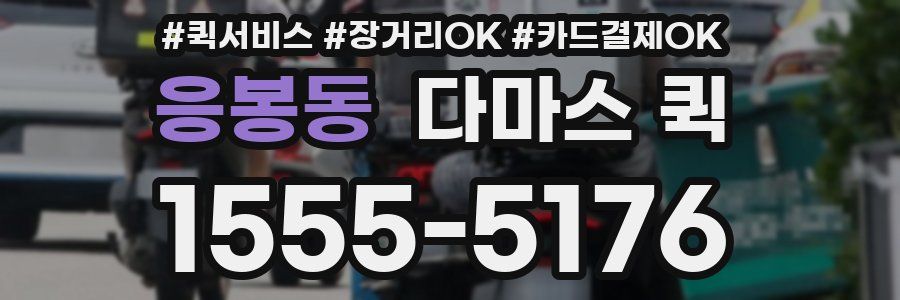 응봉동 다마스 퀵