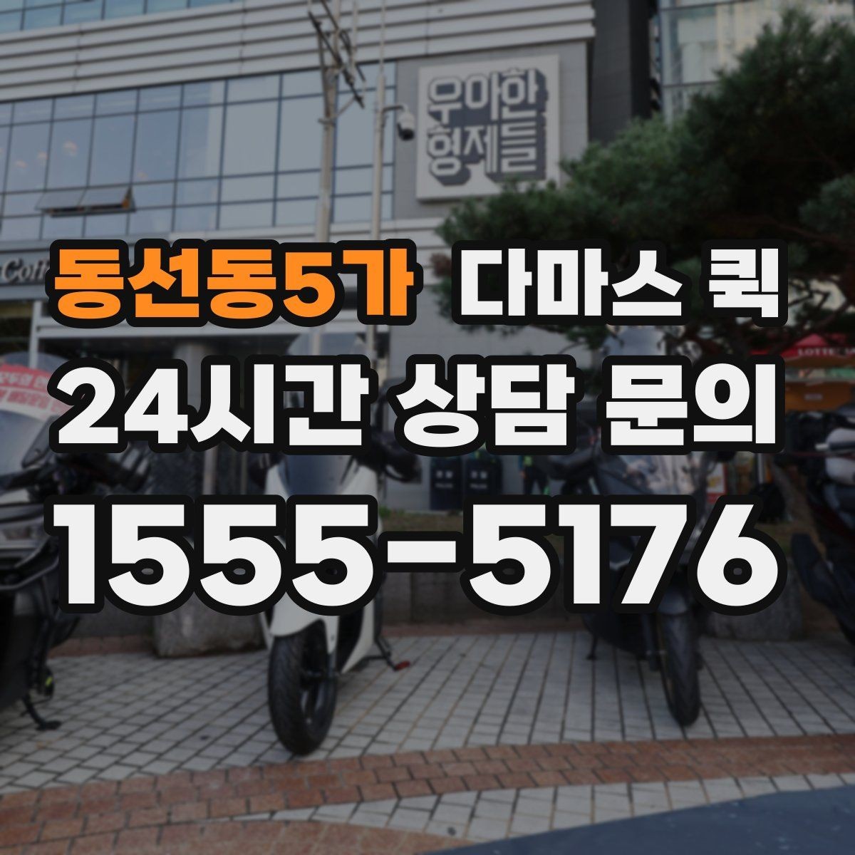 동선동5가 다마스 퀵 짧은 거리 운송에 적합한 조건