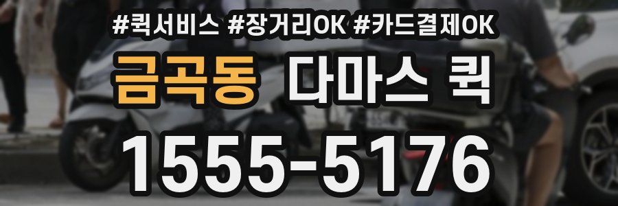 금곡동 다마스 퀵