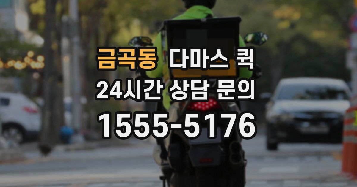 금곡동 다마스 퀵