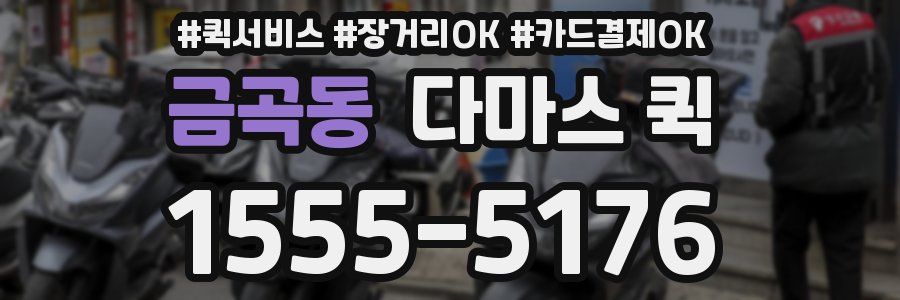 금곡동 다마스 퀵
