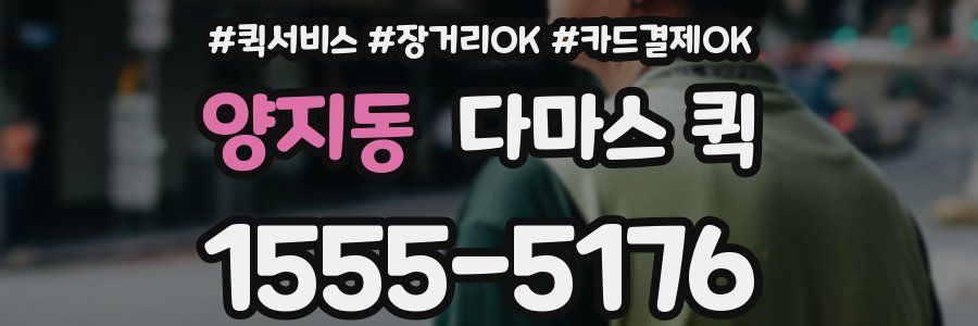 양지동 다마스 퀵
