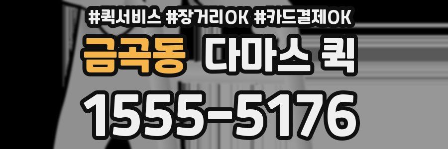 금곡동 다마스 퀵