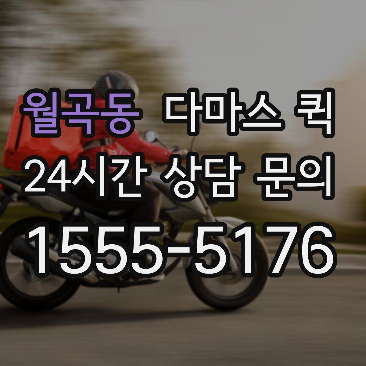 월곡동 다마스 퀵 포장 상태에 따라 달라지는 운송 방식