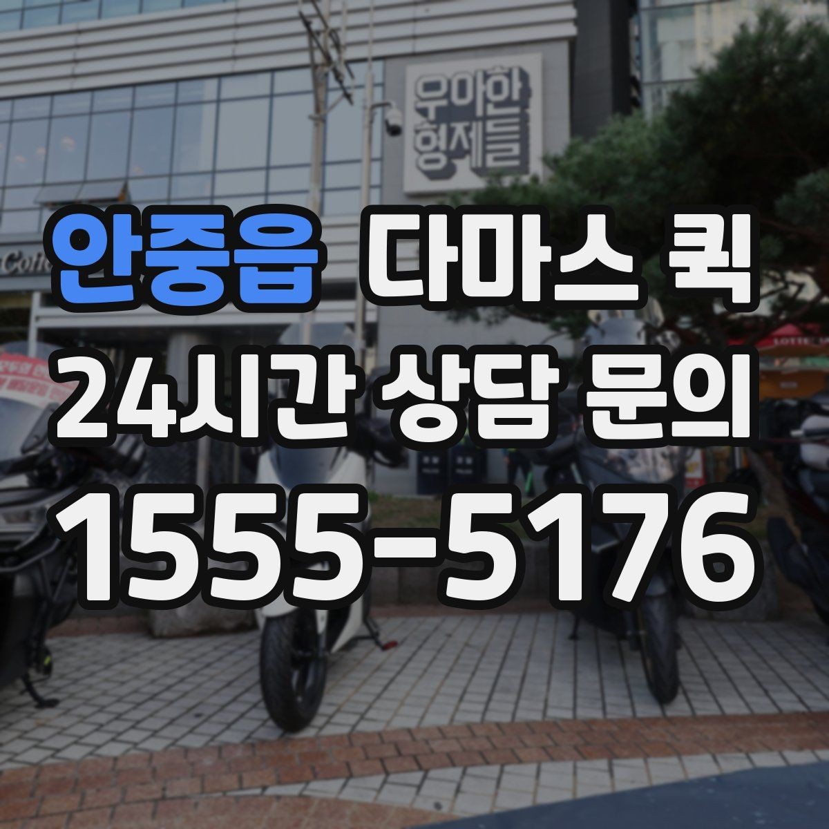 안중읍 다마스 퀵 급송이 필요한 날 체크할 요소