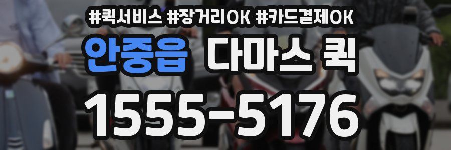 안중읍 다마스 퀵