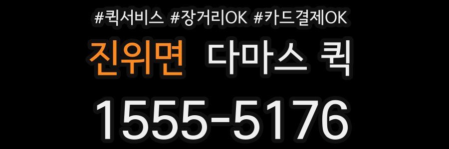 진위면 다마스 퀵