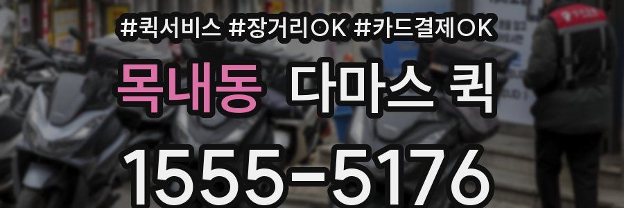 목내동 다마스 퀵