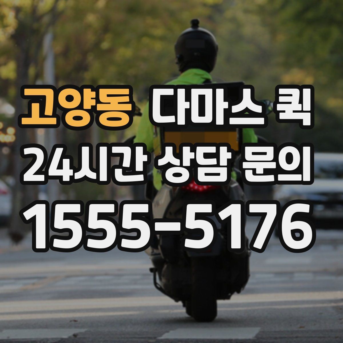 고양동 다마스 퀵 짐 양이 애매할 때 판단 기준