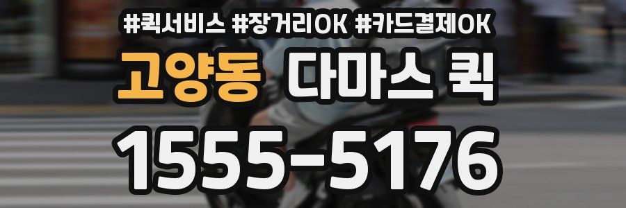 고양동 다마스 퀵