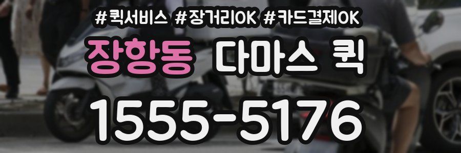 장항동 다마스 퀵