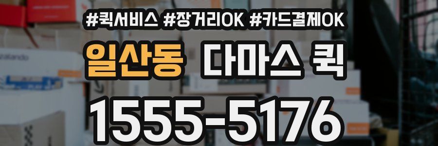 일산동 다마스 퀵