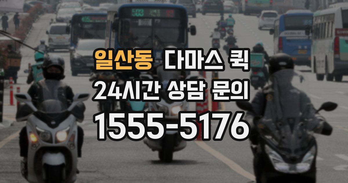 일산동 다마스 퀵