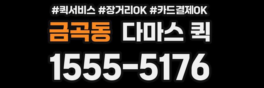금곡동 다마스 퀵
