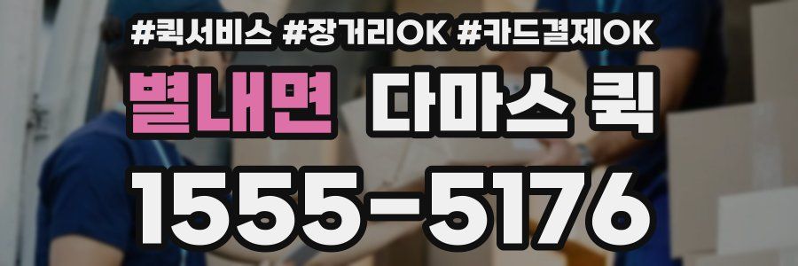 별내면 다마스 퀵