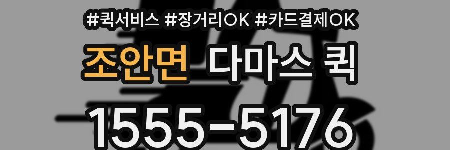 조안면 다마스 퀵