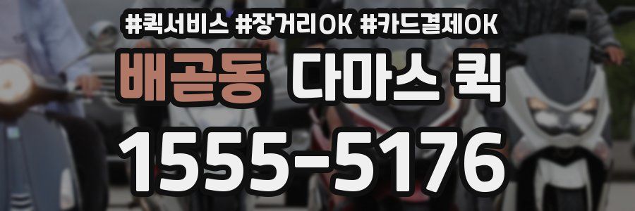 배곧동 다마스 퀵