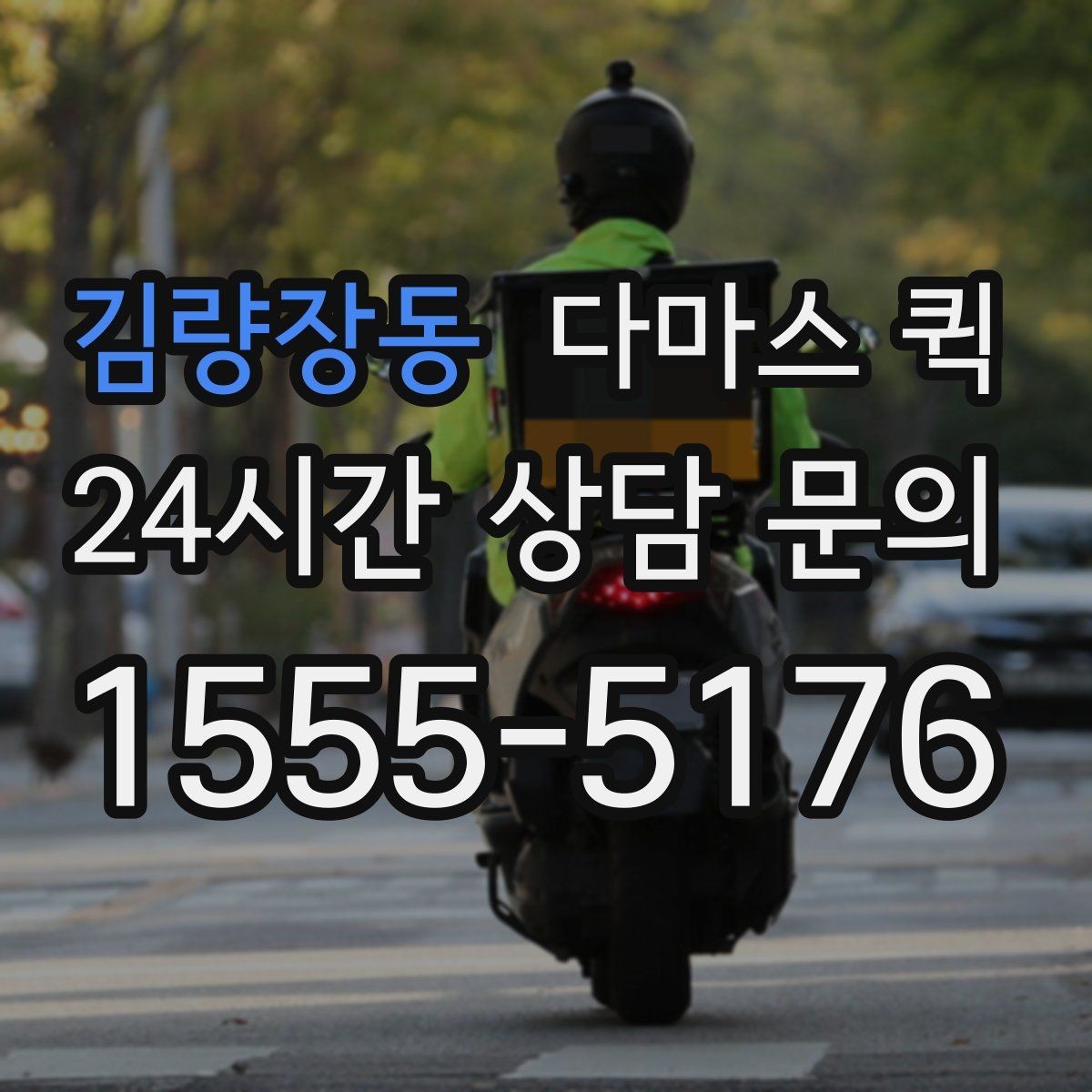 김량장동 다마스 퀵 비슷한 서비스와 차이를 비교해보기